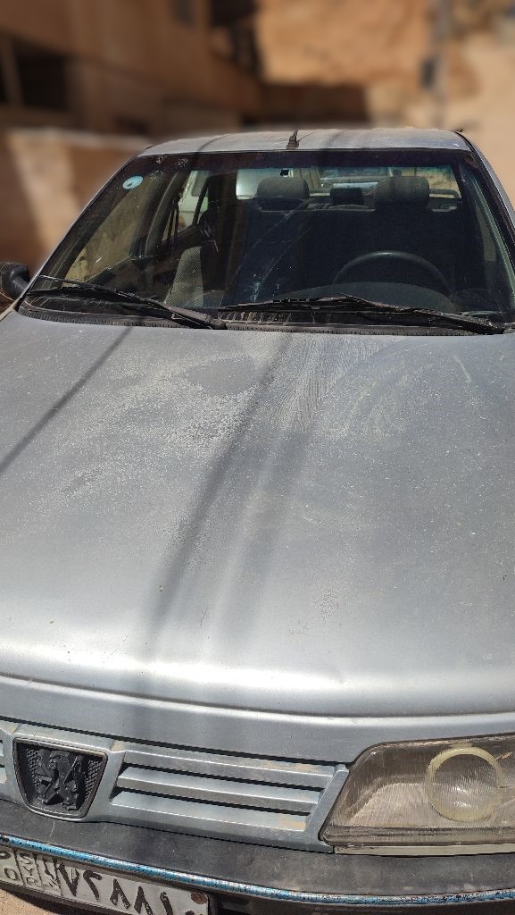 Peugeot 405 2005