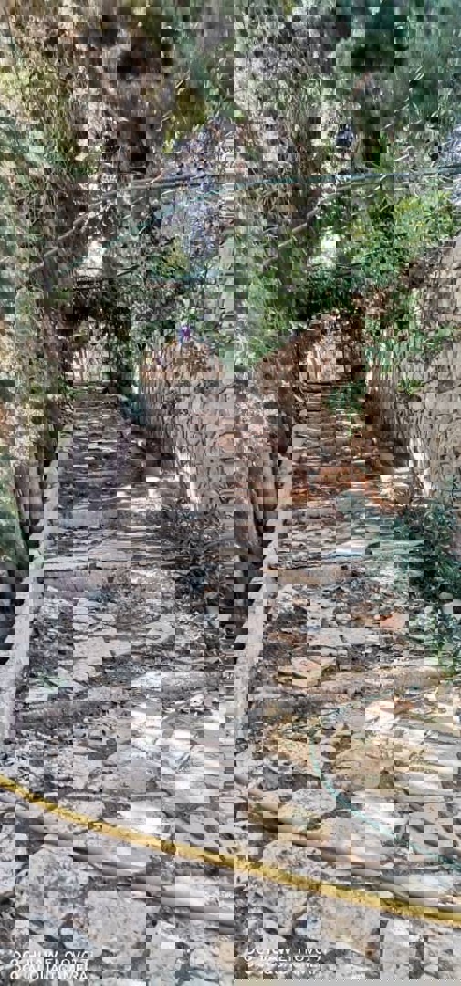 https://api.keyfinder.net/Uploads/LowResolutionPhotos/496d914c-5e62-48ce-b536-0afb6cc69e9c_638966475692259814.jpg