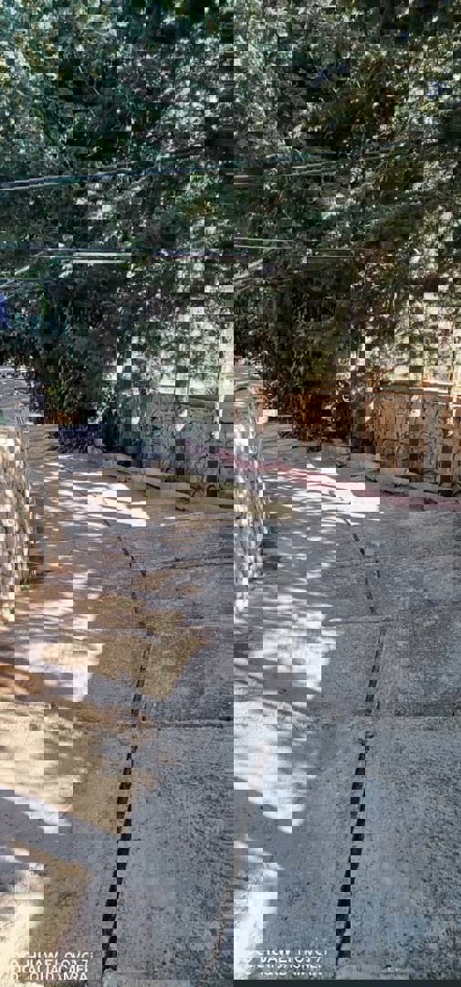 https://api.keyfinder.net/Uploads/LowResolutionPhotos/570ce0b2-fdb3-47ea-bf33-7c225b222815_638966475692918398.jpg