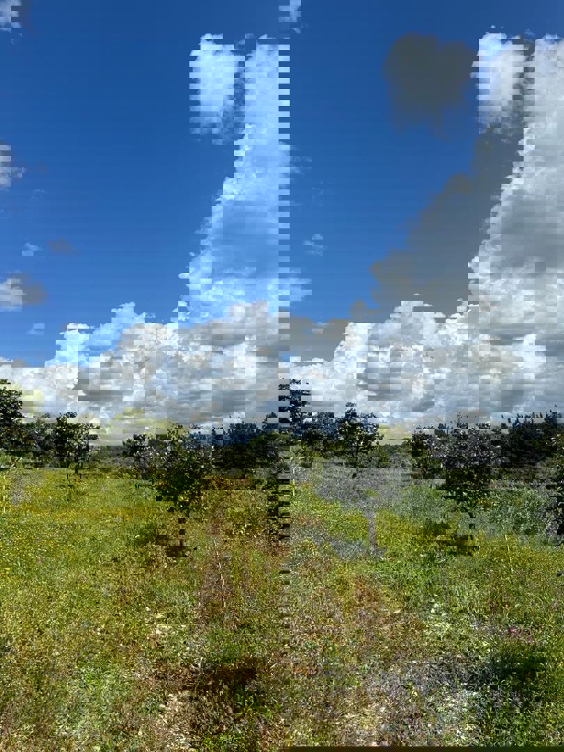 https://api.keyfinder.net/Uploads/LowResolutionPhotos/6ccae489-afb7-4876-a318-399dd89dbc11_638850845104477100.jpg