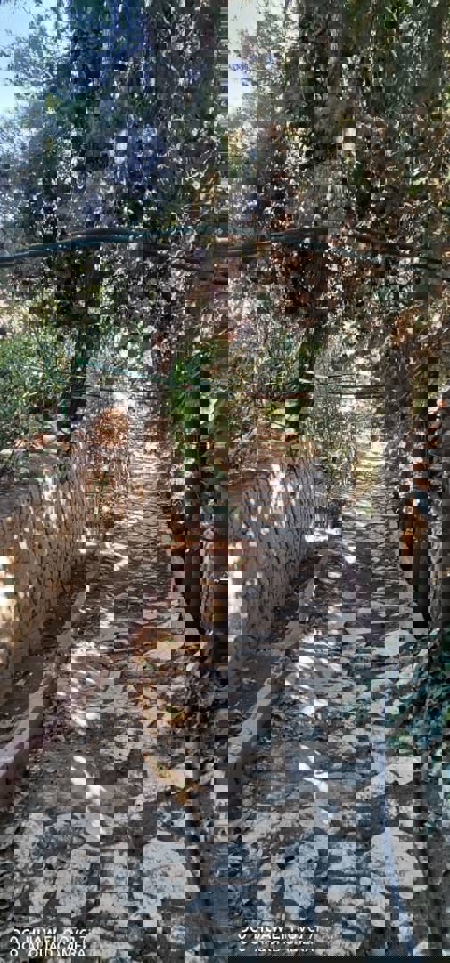 https://api.keyfinder.net/Uploads/LowResolutionPhotos/6f6e71ca-0706-4414-b96e-97c1cfcfbdb5_638966475693805188.jpg