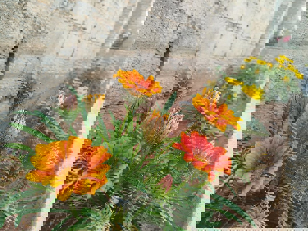 https://api.keyfinder.net/Uploads/LowResolutionPhotos/b1e1860c-2251-4b4e-b592-237ba5e5ce25_638863754395317772.jpg